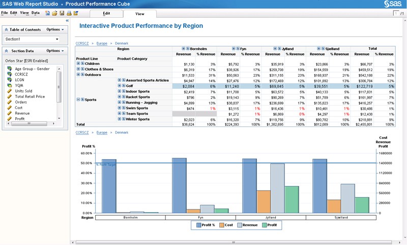 SAS Web Report Studio